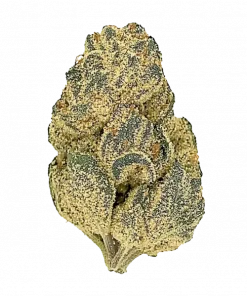 Dual OG, sert yakıtımsı aroması ve yüksek THC içeriğiyle öne çıkan Indica baskın bir türdür. Yoğun rahatlama ve yaratıcılığı keşfedin. Hemen görüntüleyin.