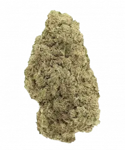 Dulce De Fresa, çilek ve mango aromalarıyla öne çıkan Indica dominant bir türdür. Yüksek THC içeriğiyle yaratıcılığı artırır. Genetik yapısını keşfedin.