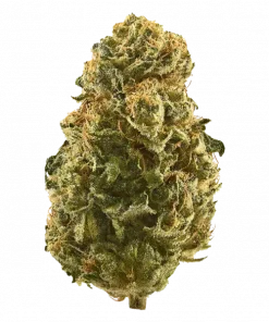 Dulce Dreams, tatlı meyve aromaları ve yüksek THC içeriğiyle öne çıkan dengeli bir hibrit türdür. Yaratıcılığı artıran etkilerini keşfedin ve hemen görüntüleyin.