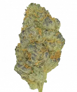 Durban Zkittlez, tatlı narenciye aroması ve THC ile öne çıkan Sativa baskın türdür. Enerjik etkileriyle yaratıcılığınızı keşfedin. Genetik yapısını görüntüleyin.