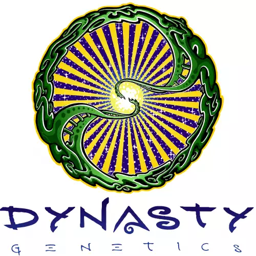 Dynasty Seeds