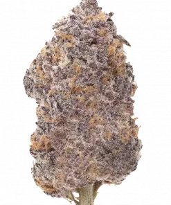 Early Lemon Berry RBX, yakıtımsı ve limon aromalarıyla öne çıkan güçlü bir hibrit türdür. Yüksek THC içeriğiyle dikkat çeker. Genetik yapısını keşfedin.