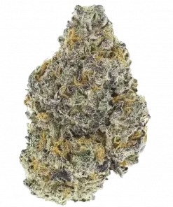 Ed Rosenthal Super Bud, ananas aromaları ve dengeli etkisiyle öne çıkan bir hibrit türdür. TSSB ve anksiyeteye iyi gelir. Genetik yapısını keşfedin.