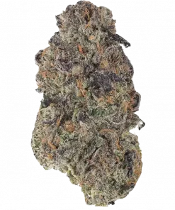 El Chivo, yakıtımsı aroması ve yüksek THC içeriğiyle bilinen indica baskın bir türdür. Rahatlatıcı etkileriyle öne çıkar. Genetik yapısını keşfedin.