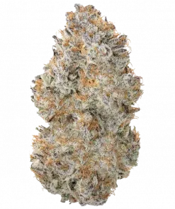 Electric Blue, tatlı yaban mersini aroması ve rahatlatıcı etkileriyle bilinen indica baskın bir türdür. Yüksek reçine içeriğiyle öne çıkar. Genetik yapısını keşfedin.