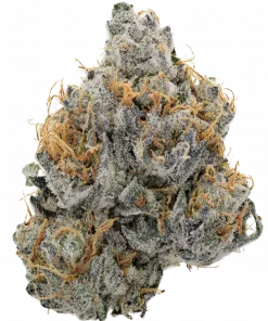 Element Z, tatlı meyve aromaları ve rahatlatıcı etkileriyle bilinen indica baskın bir türdür. Zkittlez genetiğiyle öne çıkar. Özelliklerini keşfedin.