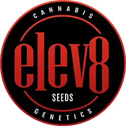 Elev8 Seeds