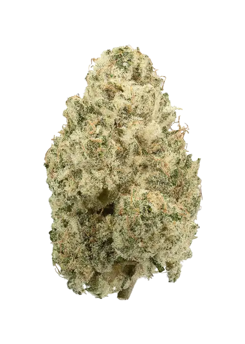 Emerald Fire OG, yakıtımsı ve limon aromalarıyla öne çıkan dengeli bir hibrit türdür. Yüksek THC içeriğiyle rahatlama ve mutluluğu keşfedin. Hemen görüntüleyin.