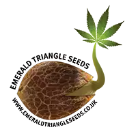 Emerald Triangle Seeds