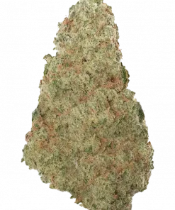 End Game RBX EC #4, ekşi portakal aromalı, yüksek THC'li bir hibrit türdür. Stres ve iştahsızlıkla mücadelede etkilidir. Genetik yapısını keşfedin.