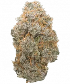 End Game RBX, kiraz ve meyve kokteyli aromalı, yüksek verimli bir Indica hibritidir. Depresyon ve stres için ideal. Genetik yapısını keşfedin ve hemen görüntüleyin.