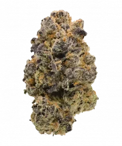 Envy, yakıtımsı ve tatlı aromalarıyla öne çıkan Indica baskın bir türdür. THC ile öforik ve rahatlatıcı etkilere sahiptir. Özelliklerini keşfedin.