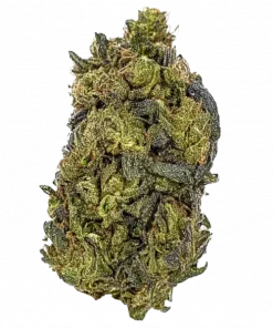 EPIC BUZZ®, tatlı meyve aromaları ve ,5 THC oranıyla öne çıkan indica baskın türdür. Depresyon ve uykusuzluğa iyi gelir. Etkilerini keşfedin.