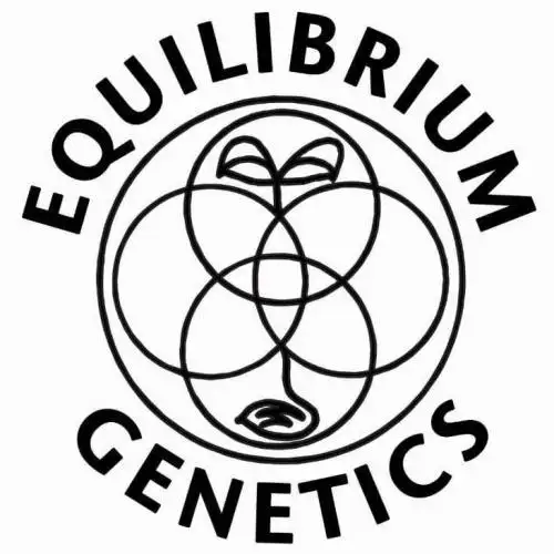 Equilibrium Genetics