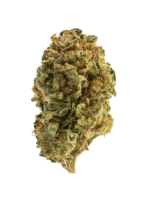 Ether, keskin kimyasal aroması ve rahatlatıcı etkileriyle bilinen Indica baskın bir türdür. Uykusuzluk ve ağrı için ideal. Ether'i keşfedin.