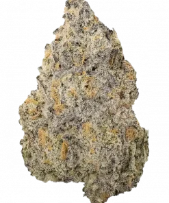 Ethos Apex R1, yakıtımsı aroması ve rahatlatıcı etkileriyle bilinen Indica dominant bir türdür. Yüksek verim potansiyelini keşfedin ve genetik yapısını görüntüleyin.