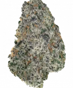 Ethos Cookies #4 S1, sert yakıtımsı aroması ve dengeli etkileriyle öne çıkan bir hibrit türdür. Yüksek verimi ve kolay yetiştirilmesiyle dikkat çeker. Özelliklerini keşfedin.