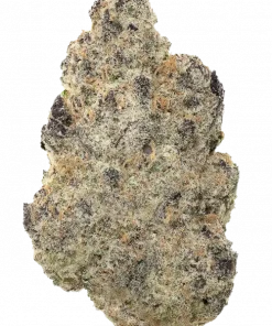 Ethos Cookies R2, yakıtımsı ve meyvemsi aromalarıyla öne çıkan dengeli bir hibrit türüdür. Yüksek THC içeriğiyle yaratıcılığı artırır. Etkilerini keşfedin.