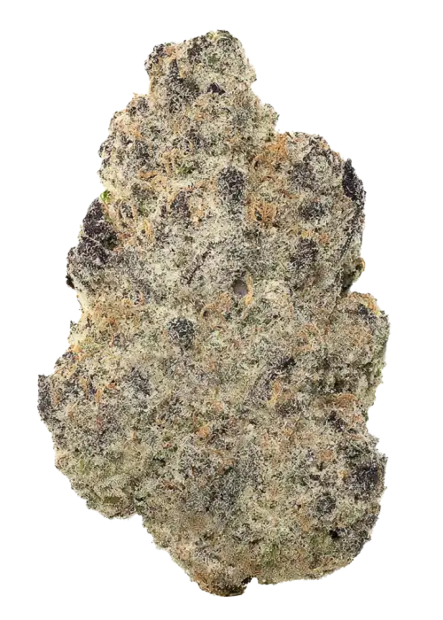 Ethos Cookies R2, yakıtımsı ve meyvemsi aromalarıyla öne çıkan dengeli bir hibrit türüdür. Yüksek THC içeriğiyle yaratıcılığı artırır. Etkilerini keşfedin.