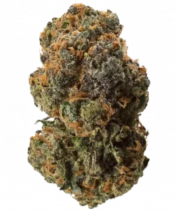 Exotic Colors, limon aroması ve dengeli etkileriyle bilinen ödüllü bir hibrit türdür. Stres ve kaygıya iyi gelir. Bu eşsiz türü keşfedin.