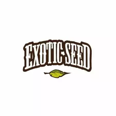 Exotic Seed