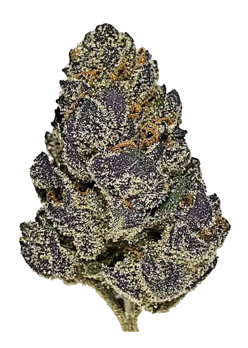 Eye Candy, yaban mersini ve yakıtımsı aromalarıyla öne çıkan Indica baskın bir türdür. Enerjik etkileriyle bilinen bu hibriti keşfedin ve potansiyel faydalarını görüntüleyin.