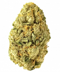 EyeBallz, kimyasal limon aromalı ve yüksek THC'li Indica dominant bir türdür. Uykusuzluk ve ağrı için idealdir. Bu eşsiz türü keşfedin.