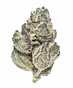 Facade, peynir ve kayısı aromalarıyla öne çıkan dengeli bir hibrit türdür. THC içeriğiyle öfori ve rahatlama sunar. Genetik yapısını keşfedin.