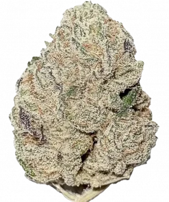 Face Mints, yakıtımsı aroması ve 'e varan THC içeriğiyle ciğere vuran bir indica türüdür. Bu benzersiz türün rahatlatıcı etkilerini keşfedin.