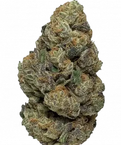 Face Off OG, yüksek THC'si ve eşsiz çam aromasıyla bilinen güçlü bir Indica türüdür. Rahatlatıcı etkileriyle öne çıkar. Şimdi keşfedin.