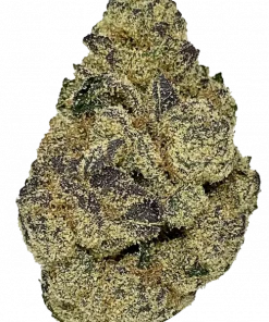 Falcon 9, narenciye ve toprak notalarıyla öne çıkan, Indica baskın bir türdür. THC içeriğiyle rahatlatıcı etkilerini keşfedin ve genetik yapısını görüntüleyin.