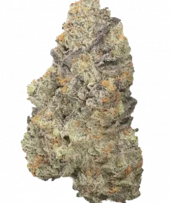 Fanta Sea RBX, portakal aromaları ve enerjik etkisiyle öne çıkan dengeli bir türdür. Karmaşık genetik yapısını ve potansiyel faydalarını keşfedin.