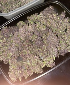 Fastberry Auto Fem Esrar Tohumu (Fast Buds)