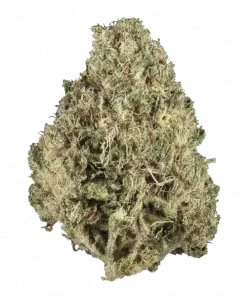 Fat Banana, turunçgil aroması ve yüksek THC içeriğiyle bilinen Indica dominant bir türdür. TSSB ve anksiyeteye iyi gelir. Özelliklerini keşfedin.