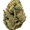 Fatso, kahve aroması ve rahatlatıcı etkileriyle bilinen Indica dominant bir türdür. Legend OG ve GMO Cookies genetiğini keşfedin ve eşsiz deneyimi görüntüleyin.