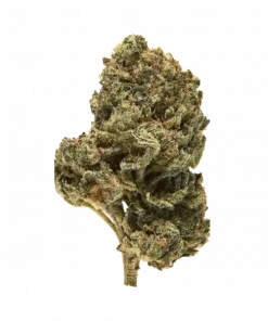 Filthy Animals, meyvemsi aromaları ve dengeli etkisiyle öne çıkan hibrit bir türdür. Baş ağrıları ve stresi azaltmaya yardımcı olabilir. Hemen keşfedin.