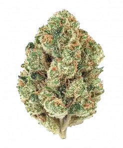 Fire OG, sert yakıtımsı aroması ve yüksek THC içeriğiyle bilinen Indica dominant bir türdür. Öforik etkilerini ve karmaşık aromasını keşfedin.