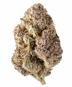 FireWater, narenciye aromaları ve yüksek THC içeriğiyle öne çıkan Indica baskın bir türdür. Yaratıcılığı artıran etkilerini keşfedin ve hemen görüntüleyin.