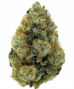 First Lady, sert yakıtımsı aroması ve 'e varan THC içeriğiyle öne çıkan Indica dominant bir türdür. Yoğun rahatlama ve öfori etkilerini keşfedin.