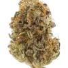 Flak Jacket, sert yakıtımsı aroması ve dengeli etkileriyle öne çıkan bir hibrit türdür. Yüksek THC içeriğiyle dikkat çeken bu türün genetik yapısını keşfedin.