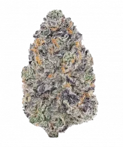 Flama Blanca, vanilya aroması ve THC ile öne çıkan Indica dominant bir türdür. Yüksek verimi ve hızlı çiçeklenme süresiyle keşfedin.