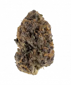 Flamebanger, yakıtımsı ve çam aromalarıyla öne çıkan Sativa baskın bir türdür. THC ile depresyon ve stres için ideal. Özelliklerini keşfedin.