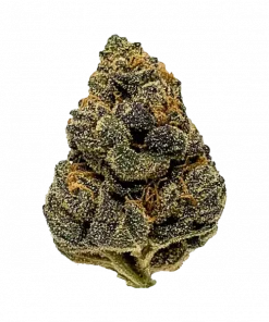 Mexican Flan, tatlı vanilya aroması ve yüksek THC içeriğiyle öne çıkan dengeli bir hibrit türdür. Zihinsel ve fiziksel etkilerini keşfedin.