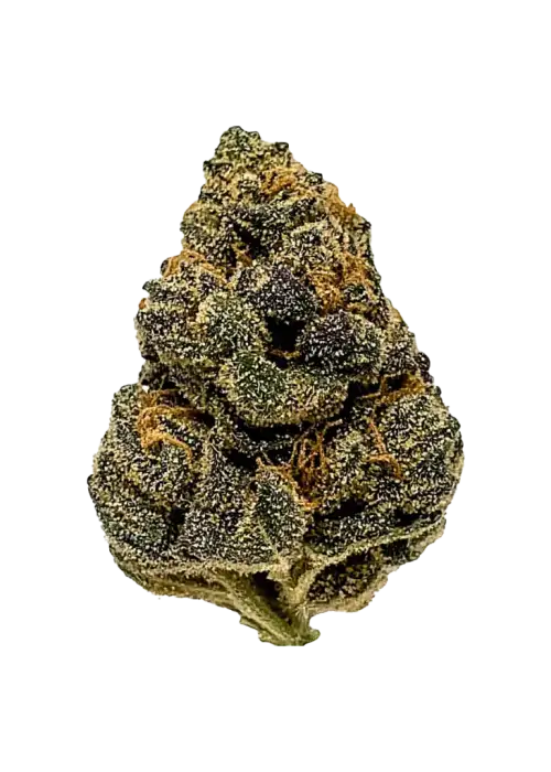 Mexican Flan, tatlı vanilya aroması ve yüksek THC içeriğiyle öne çıkan dengeli bir hibrit türdür. Zihinsel ve fiziksel etkilerini keşfedin.