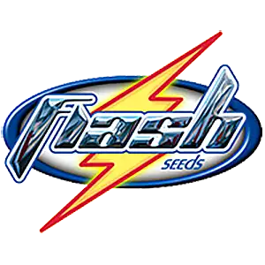 Flash Seeds