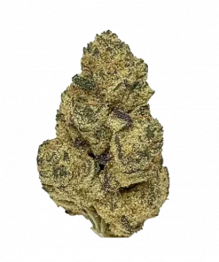 Florida Kush, portakal aromalı ve yüksek THC'li Indica dominant bir türdür. Derin rahatlama ve öfori sunar. Genetik yapısını keşfedin ve etkilerini görüntüleyin.