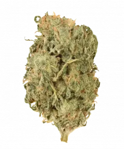 Flowerbomb Kush, tatlı-ekşi aroması ve THC oranıyla öne çıkan Indica baskın bir türdür. Yaratıcılığı artıran bu eşsiz türü keşfedin.