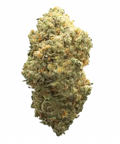 Fluff Fumez, tatlı aroması ve enerji veren etkisiyle öne çıkan dengeli bir hibrit türdür. Yüksek verimli bu türün genetik yapısını keşfedin ve hemen görüntüleyin.