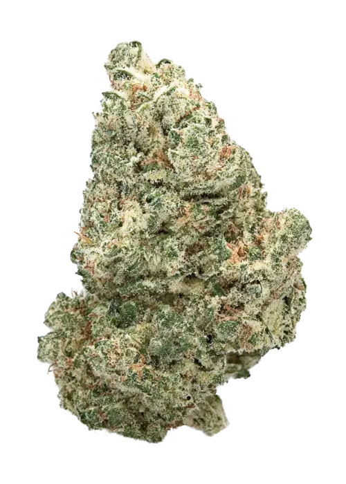 Fluffy Puffy, tropikal ananas aroması ve dengeli etkileriyle bilinen hibrit bir türdür. Stres ve ağrı yönetimine yardımcı olabilir. Özelliklerini keşfedin.