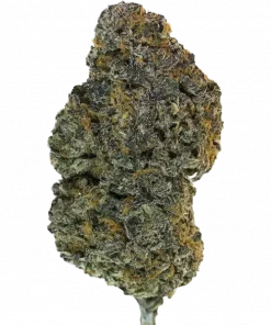 Forbidden Blueprint, karamel aroması ve yüksek THC içeriğiyle öne çıkan bir hibrit türdür. Depresyon ve uykusuzluğa iyi gelir. Genetik yapısını keşfedin.